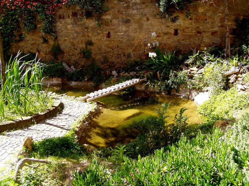 Il Laghetto del Centro di Entomologia - Piombino (LI)